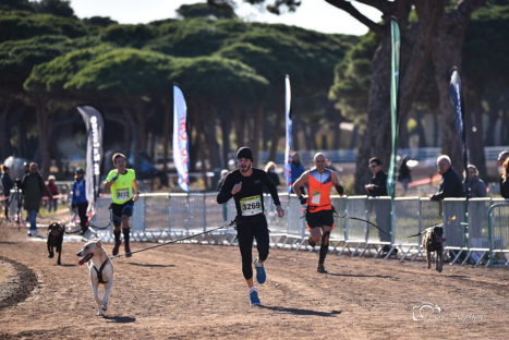 canicross hyères running days 2018